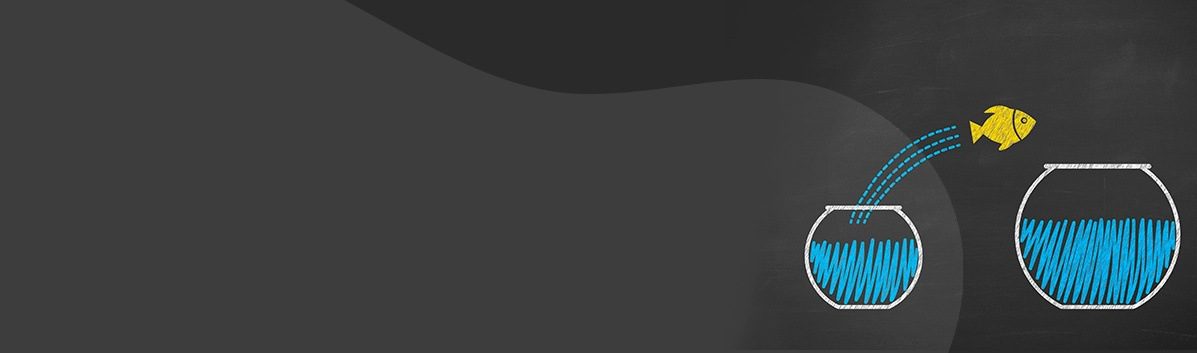 Fondo