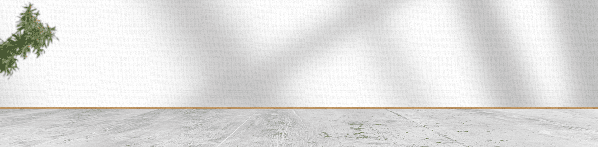 Slide 02 BG