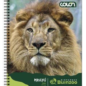 Cuaderno Universitario Buin Zoo 7Mm 100 Hjs.