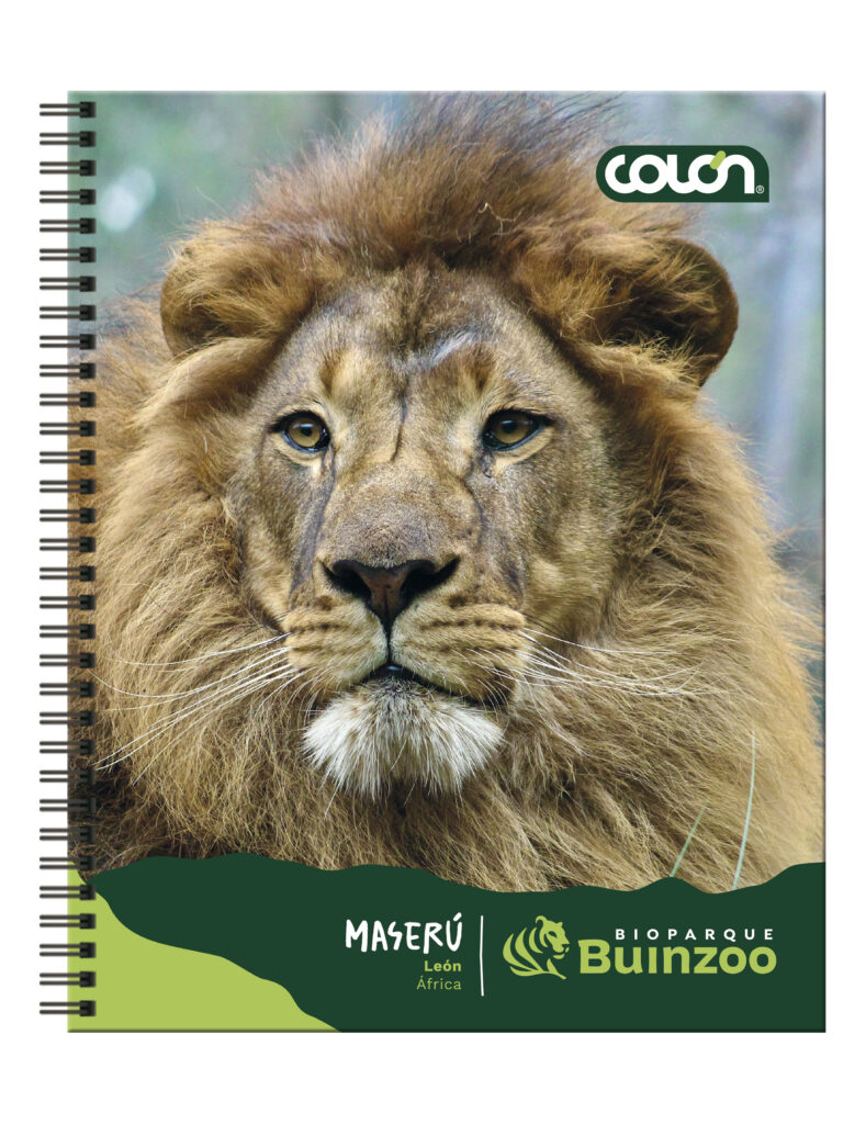 Producto