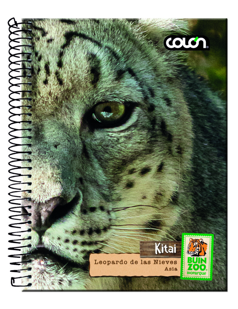 Producto