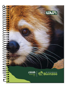 Producto