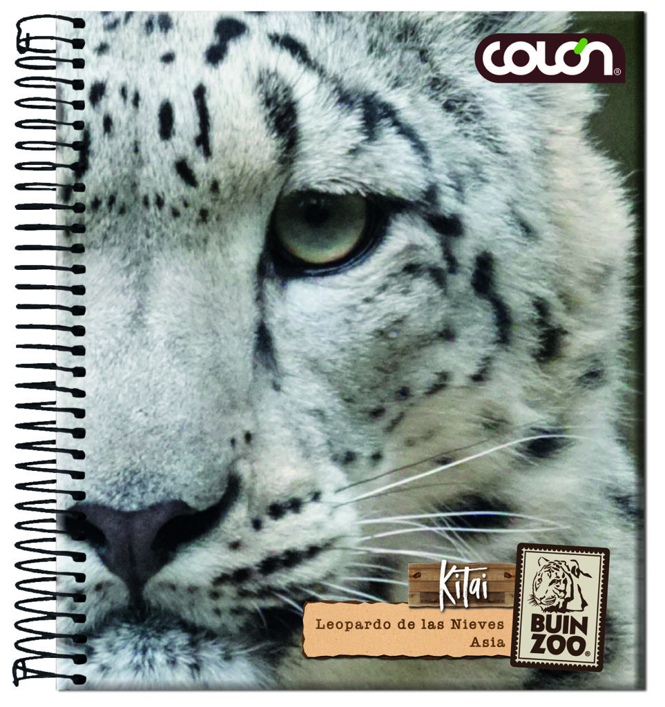 Producto