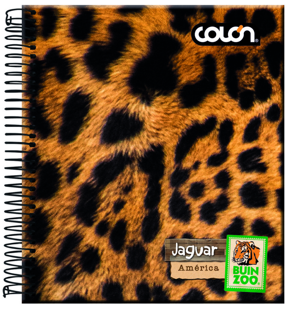 Producto
