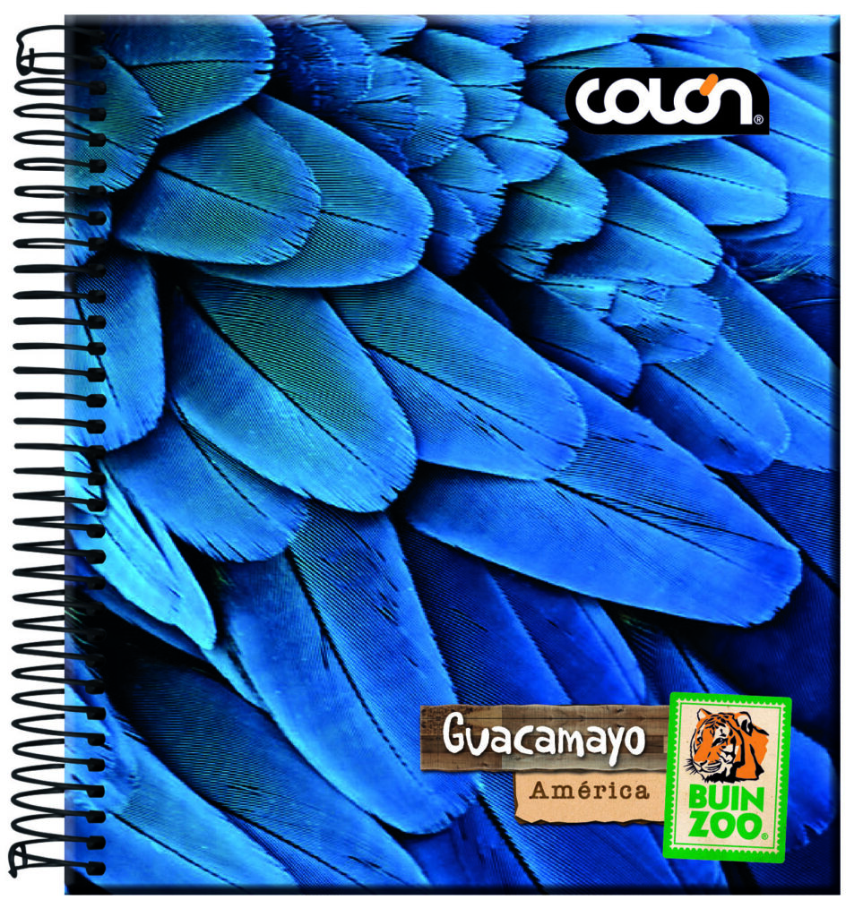 Producto