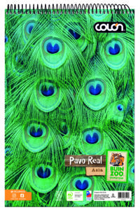 Producto